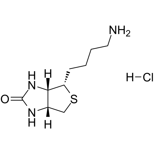 Norbiotinamine HCl 160385-86-4
